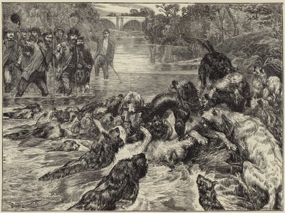 Otterjacht in het noorden door English School