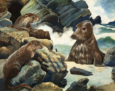 Otters en Walrus door English School