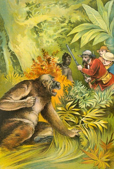 Onze eerste gorilla door English School