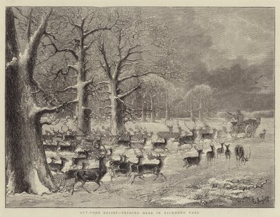 Buitenhulp, herten voeren in Richmond Park (gravure) door English School