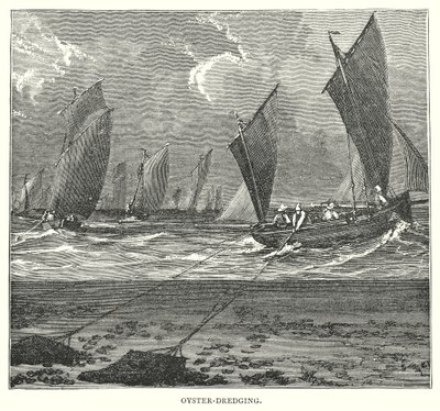 Oyster-Dredging (engraving) door English School