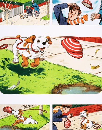 Paddy Paws door English School