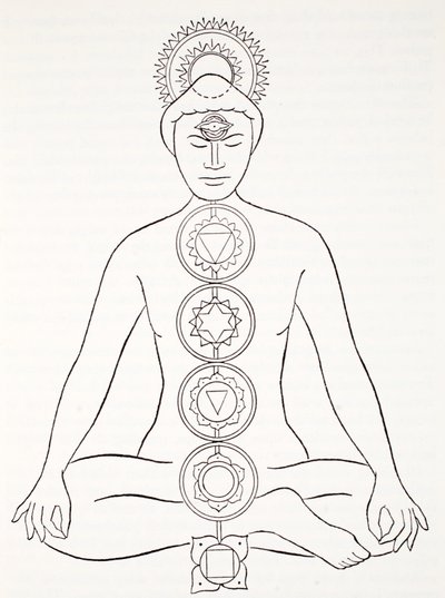 Padmasana of lotushouding door English School