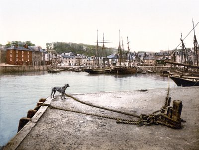 Padstow Kade door English School