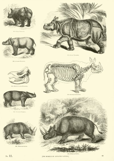 Pagina uit Het Picturale Museum van Geanimeerde Natuur door English School
