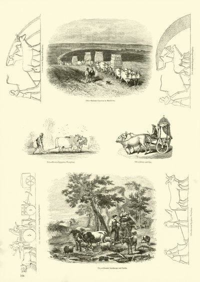 Pagina uit Het Picturale Museum van Geanimeerde Natuur door English School