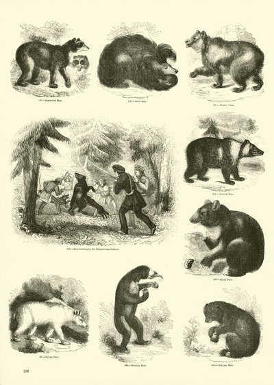 Pagina uit Het Picturale Museum van Geanimeerde Natuur door English School