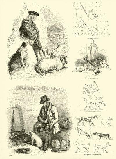 Pagina uit Het Picturale Museum van Geanimeerde Natuur door English School