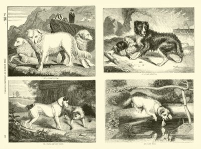 Pagina uit Het Picturale Museum van Geanimeerde Natuur door English School