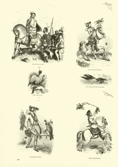 Pagina uit Het Picturale Museum van Geanimeerde Natuur door English School