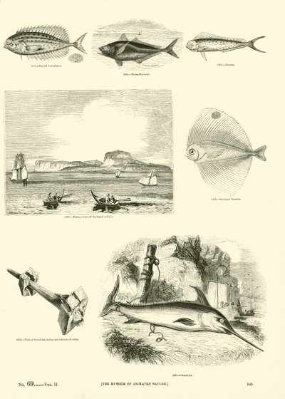 Pagina uit Het Picturale Museum van Geanimeerde Natuur door English School