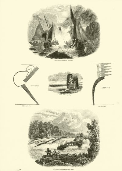 Pagina uit Het Picturale Museum van Geanimeerde Natuur door English School