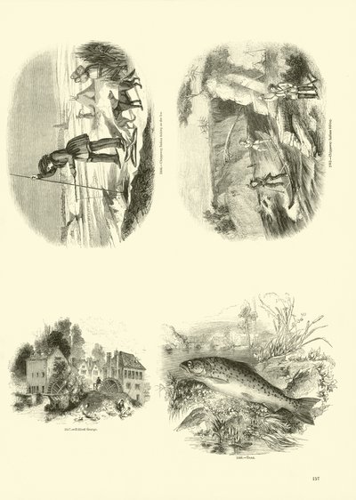Pagina uit Het Picturale Museum van Geanimeerde Natuur door English School