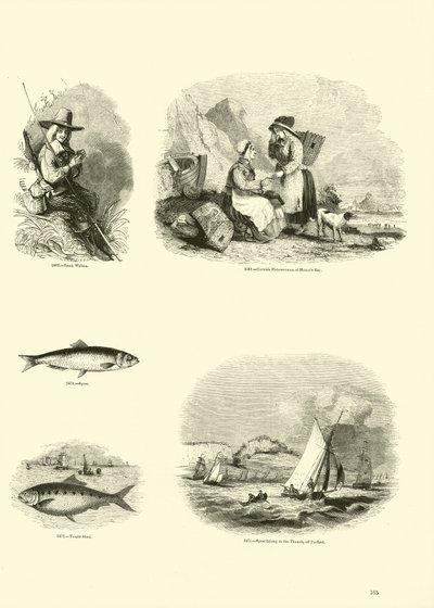 Pagina uit Het Picturale Museum van Geanimeerde Natuur door English School