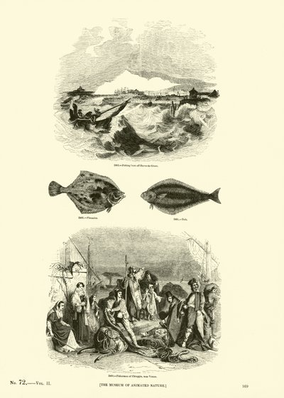 Pagina uit Het Picturale Museum van Geanimeerde Natuur door English School
