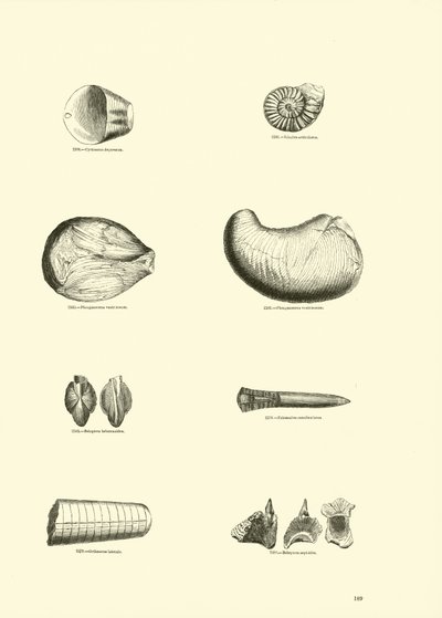 Pagina uit Het Picturale Museum van Geanimeerde Natuur door English School