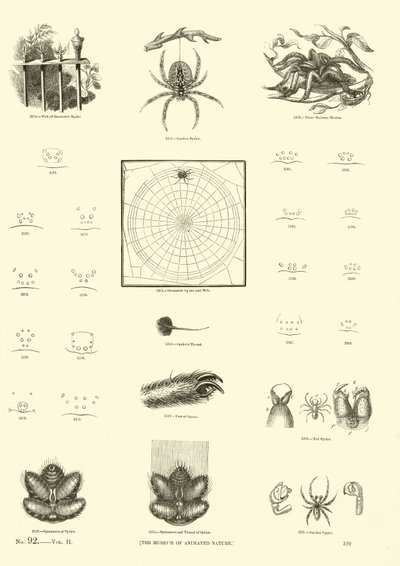 Pagina uit Het Picturale Museum van Geanimeerde Natuur door English School
