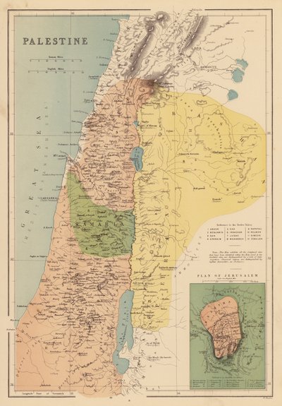 Palestina door English School