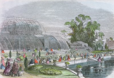 Palm House, Kew (gravure) door English School