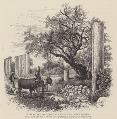 Deel van de Colonnade die ooit Samaria omcirkelde (gravure) door English School
