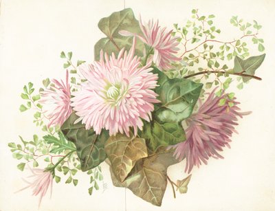 Roze Bloemen (Dahlia), Kaart door English School