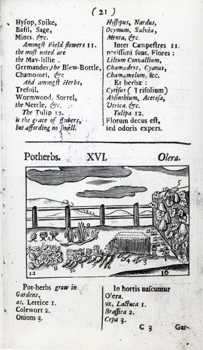 Plantenverzorging uit 