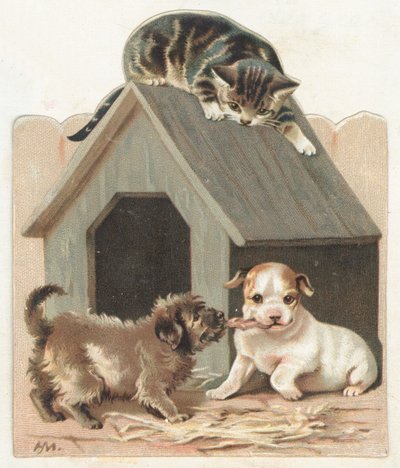 Speelse puppy