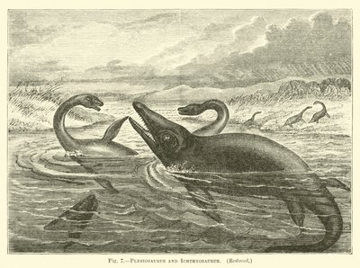 Plesiosaurus en Ichthyosaurus door English School