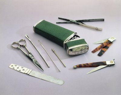 Zak Etui, met chirurgische instrumenten voor kleine operaties (shagreen, zilver, staal en schildpad) door English School