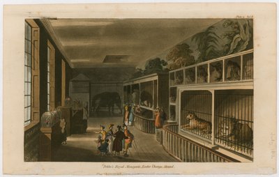 Politos Koninklijke Menagerie, Exeter Change, Strand door English School