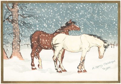 Pony