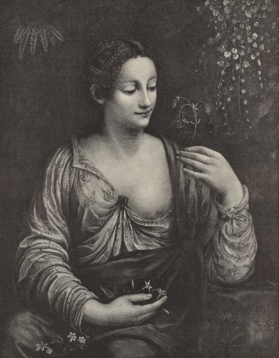Portret van een jonge dame door English School