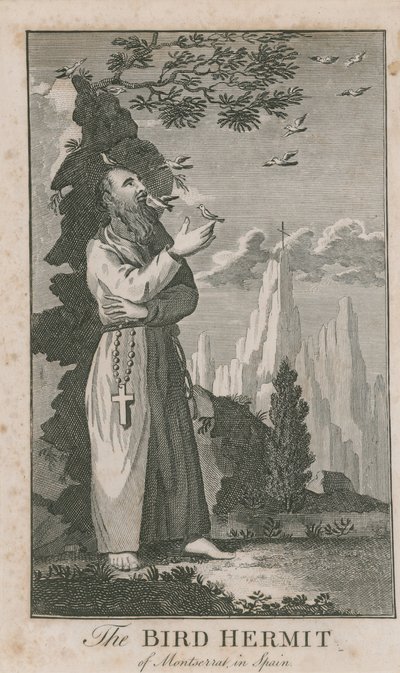 Portret van de Vogelkluizenaar van Montserrat door English School
