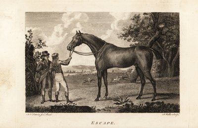 Portret van de beroemde volbloed racer Escape met jockey en trainer door English School