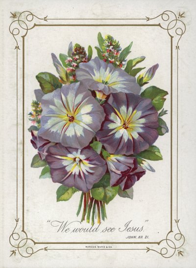 Boeket bloemen door English School