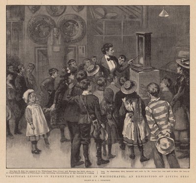Praktische lessen in elementaire wetenschap in Whitechapel; Een tentoonstelling van levende bijen door English School