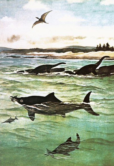 Prehistorische zeedieren door English School