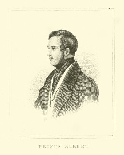 Prins Albert door English School