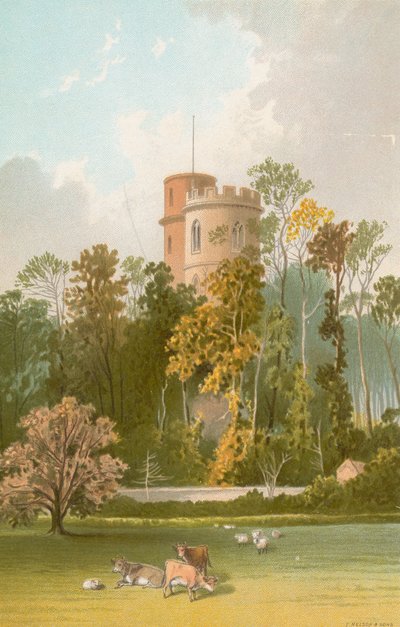 Prinsentoren--Jersey door English School