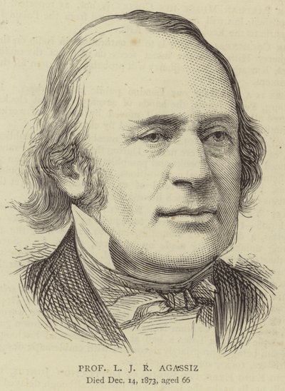 Professor L J R Agassiz door English School