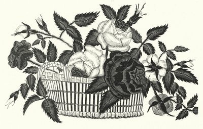 Psaligrafie, of schaartekening door English School