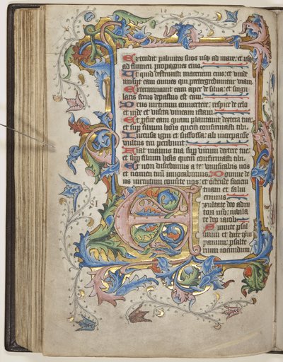 Psalter met Sarum gebruikskalender, ca. 1425-75 (inkt, verf en goud op perkament) door English School