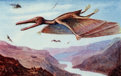 Pterodactyl, uit 