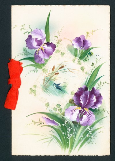 Paarse Iris Bloemen door English School