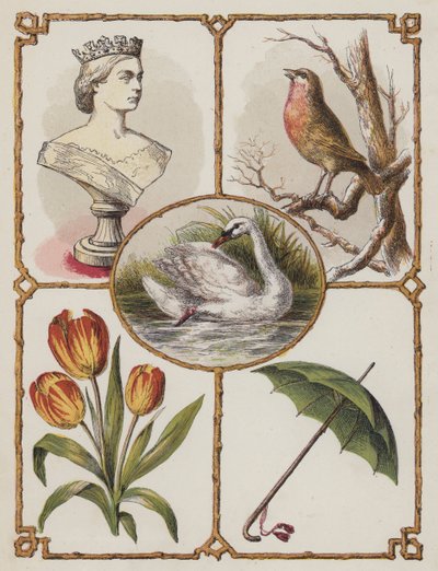 Koningin, Robin, Zwaan, Tulp, Paraplu door English School