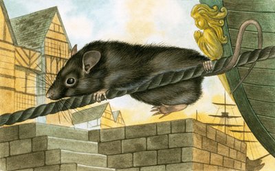 Rat verlaat een schip door English School