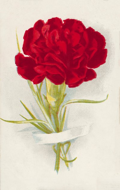 Rode anjer (chromolitho) door English School