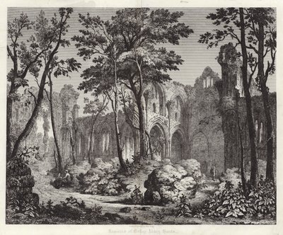 Overblijfselen van Nelley Abbey in Hampshire door English School