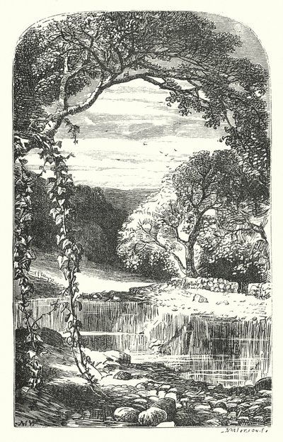 Terugkerende Lente (gravure) door English School
