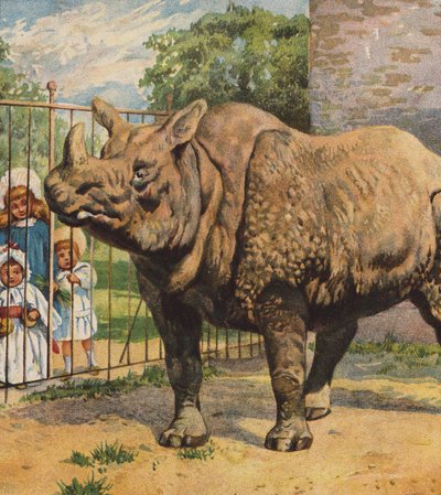 Neushoorn door English School